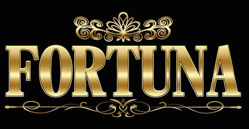 FORTUNA(フォートゥナ)カジノの画像