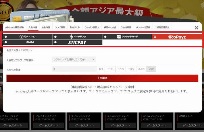 パイザカジノの登録手順の画像