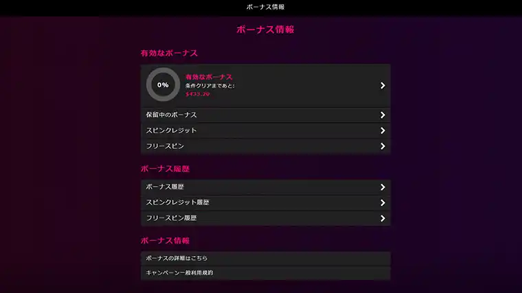 インターカジノ登録方法：入金不要ボーナスの詳細確認画面