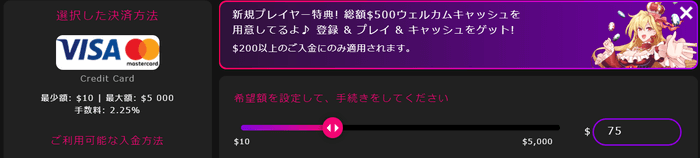 インターカジノクレジットカード入金設定