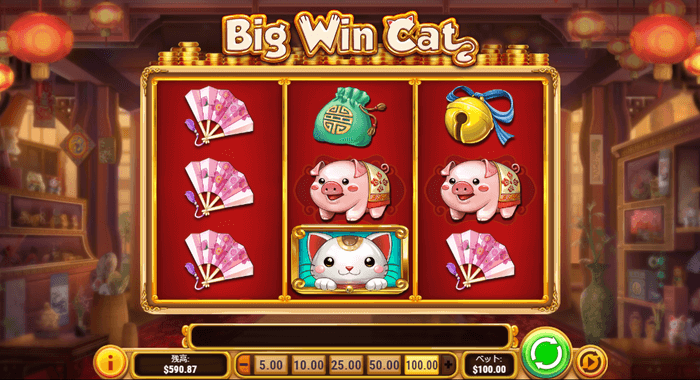 Big Win Catの画像