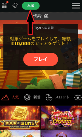 オンラインカジノボーナスガイド - ベストオンラインカジノレ オンラインカジノボーナスガイド - ベストオンラインカジノレ
