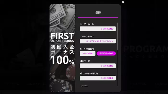 ワンダーカジノの登録方法:情報入力画面①