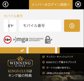ウィニングキングスカジノの登録方法の画像