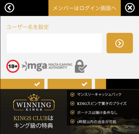 ウィニングキングスカジノの登録方法の画像