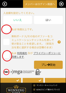 ウィニングキングスカジノの登録方法の画像