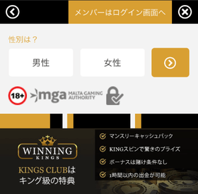ウィニングキングスカジノの登録方法の画像
