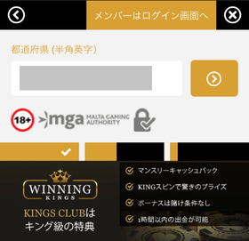 ウィニングキングスカジノの登録方法の画像