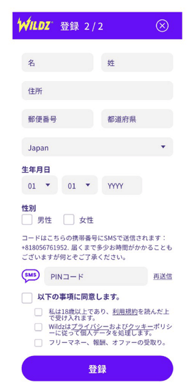 ワイルズカジノの登録方法の画像