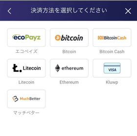 ビットスターズの入金方法の画像