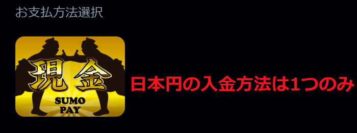 ライブカジノアイオーの入金方法の画像