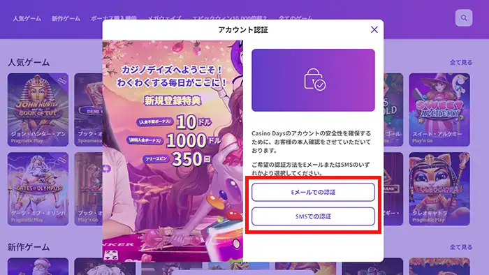 カジノデイズへの新規登録方法:情報入力画面②