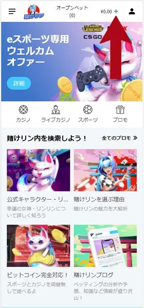 賭けっ子リンリンの入金手順①