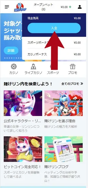 賭けっ子リンリンの入金手順②
