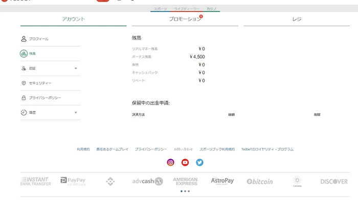 TEDBETの入金不要ボーナス申請方法：残高確認