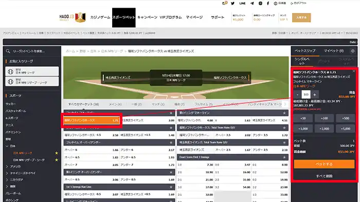 エルドアスポーツでカートに入ったベット