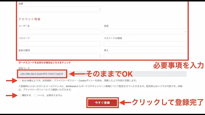 ベットレベルズの登録方法：個人情報入力完了