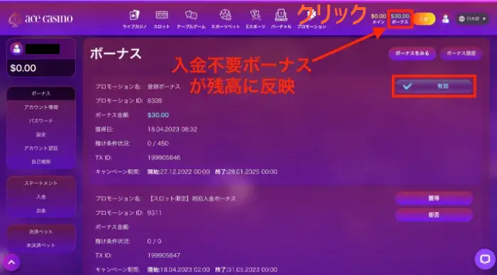 エースカジノの登録ボーナス有効化