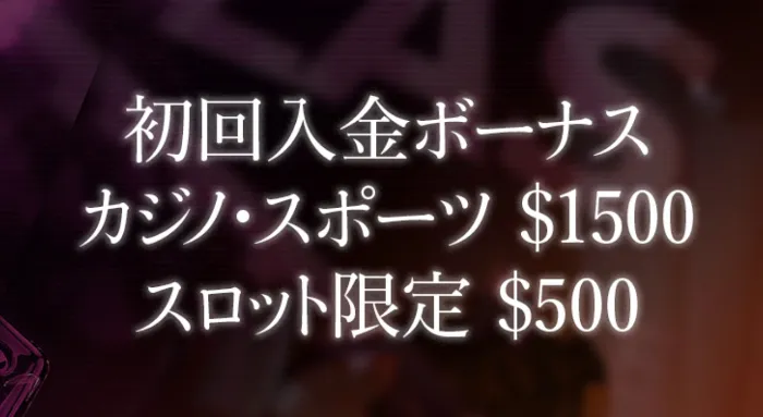 エースカジノの初回入金ボーナス