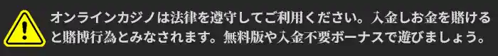注意事項