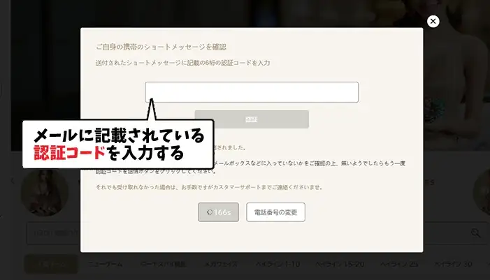 勝WINカジノの登録方法06