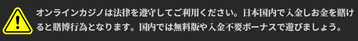 オンラインカジノプレイの注意事項：日本からのプレイは違法のため推奨しません