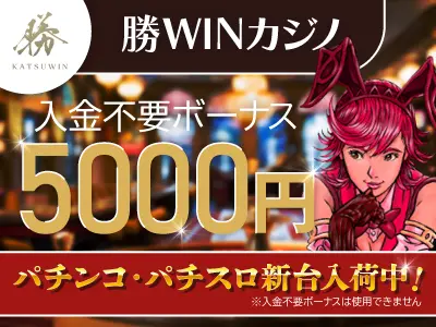 勝WINカジノの画像