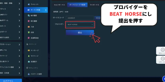 ラリーベットボーナス取得方法02：プロバイダ選択